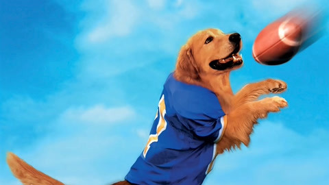 飞狗巴迪3飞狗家族国语