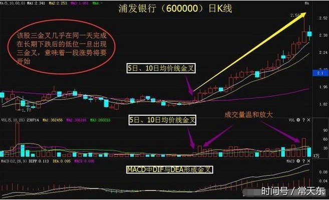 常天东:详解"三金叉见底"技巧,点醒亏损散户!