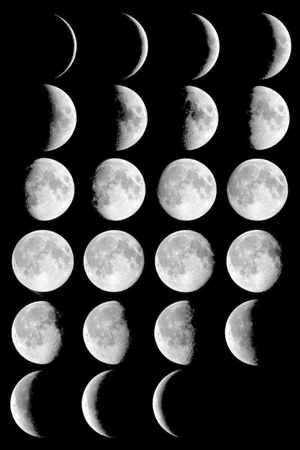 lunar phase