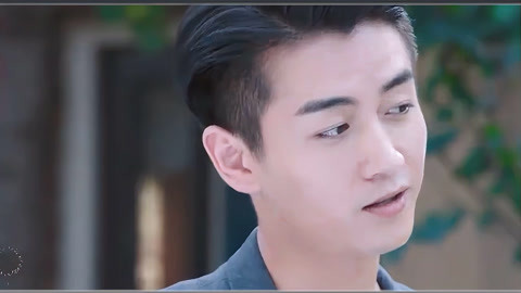 舒克与桃花桃酥cp精华版