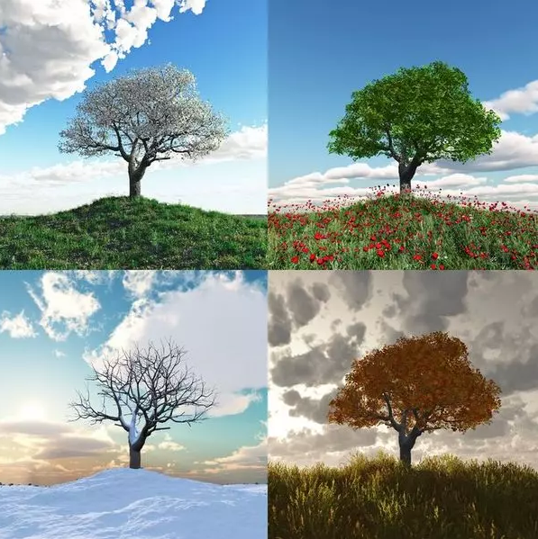 但是,主要由于人类活动导致的气候变化已经破坏了传统的四季