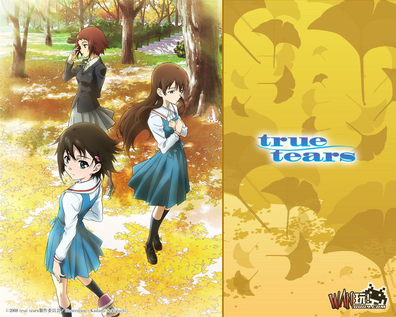 真实之泪 中文版