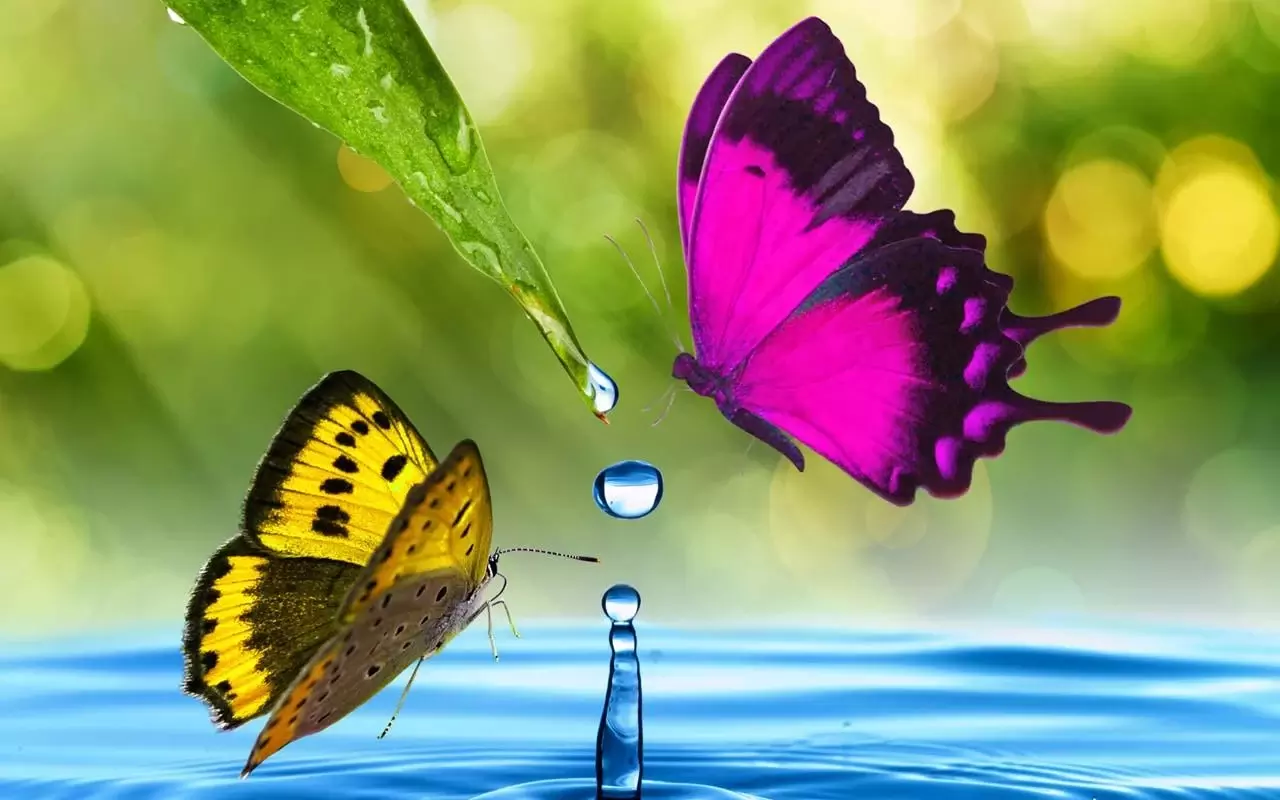 壁纸主题 s5魔幻蝴蝶下载,—应用  软件