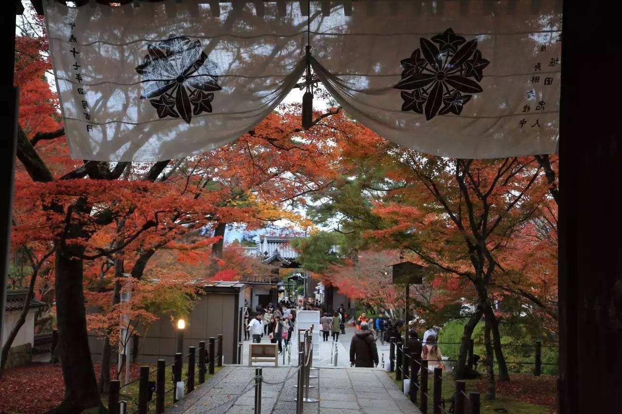 日本红叶季来啦 个秋景胜地错过等一年