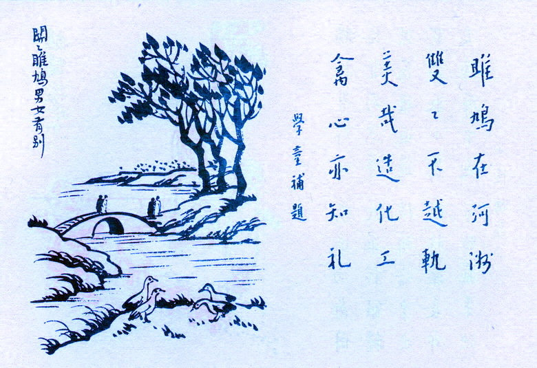 雎鸠图片 简笔画图片