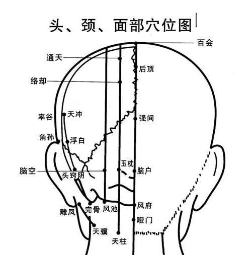 頭後腦的各個穴位的名稱和作用!帶圖