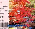 歪歌社团 【爆笑2012愚人节】《中国最搞笑地名排行榜》