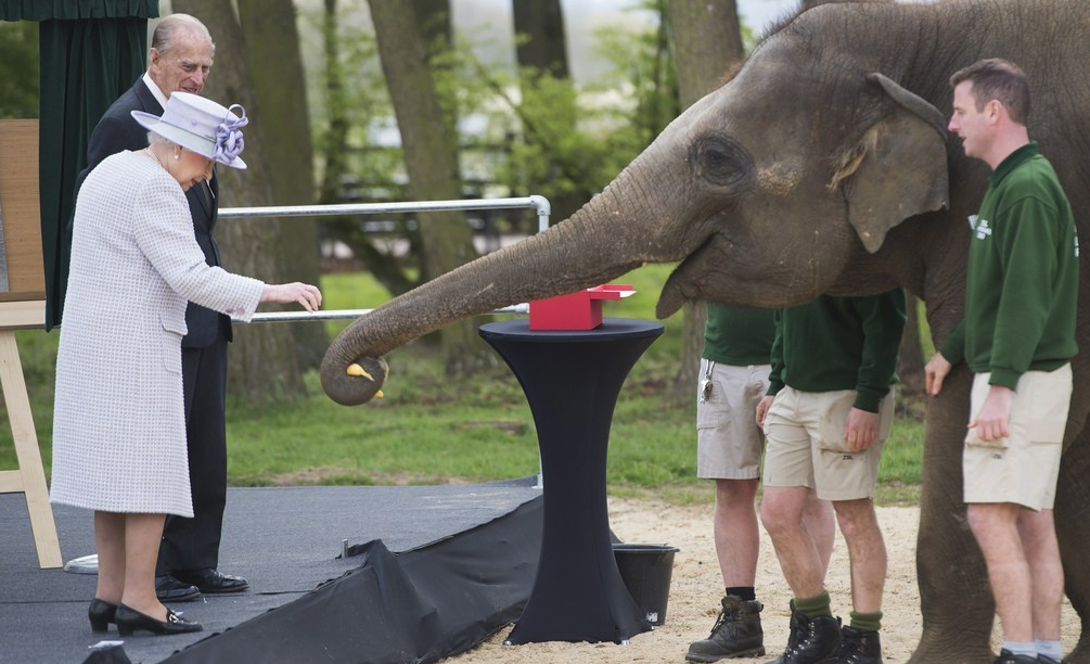 英女王与大象"握手" 展慈祥笑容似邻家奶奶