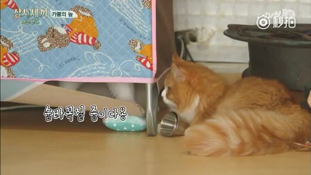 三时三餐 渔村篇 第3季