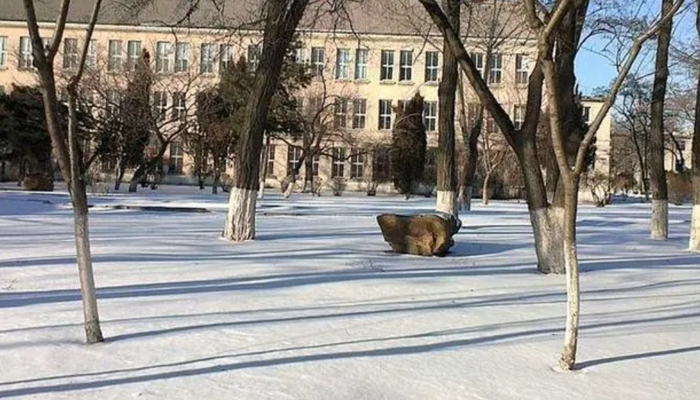 辽大回应扫雪评奖